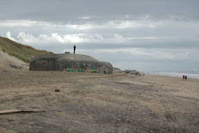 DSC_0134.JPG