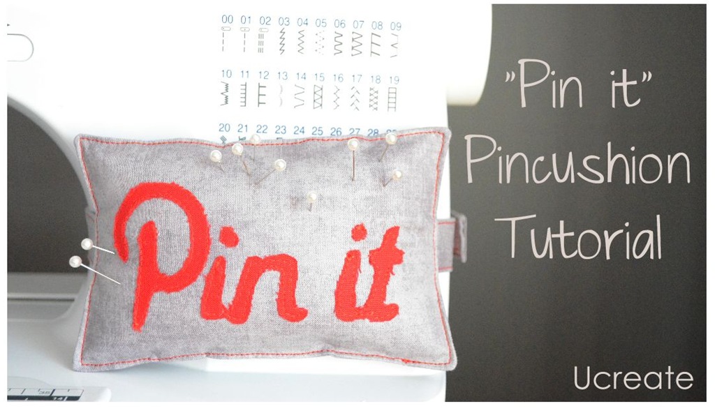 [PIN-IT-Pincushion-2012-0096.jpg]