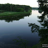 dsc03713.jpg
