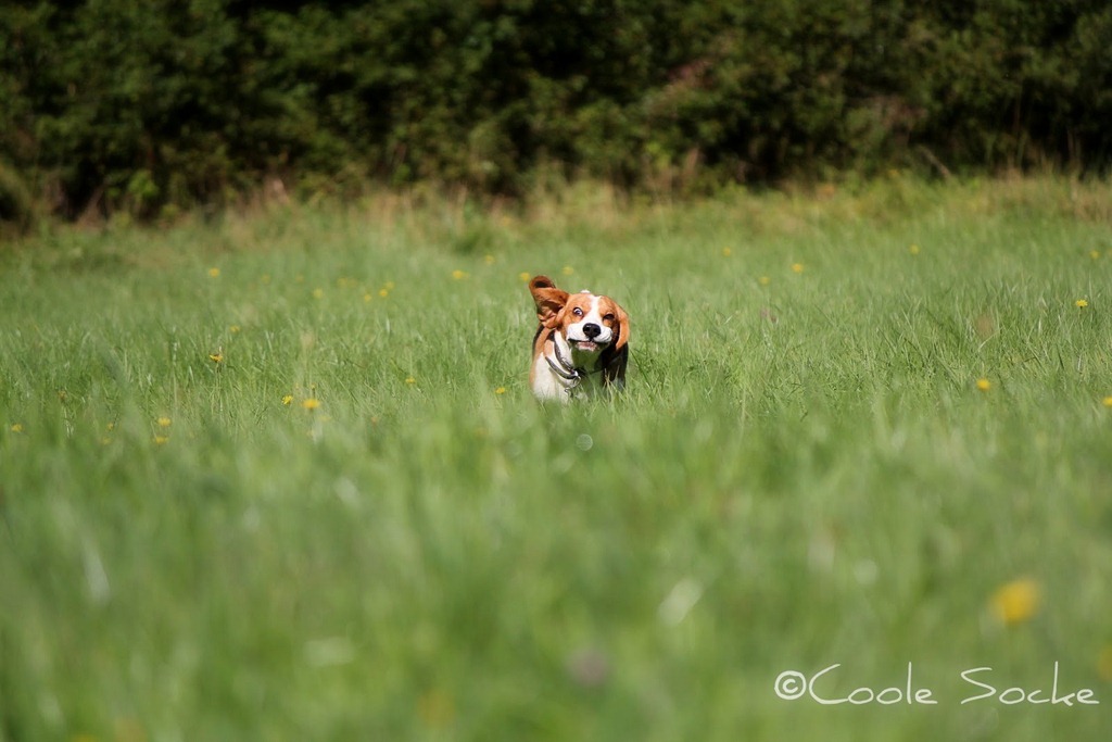 [IMG_4390%255B2%255D.jpg]