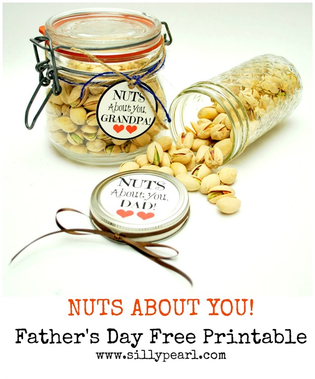 [Nuts%2520About%2520You%2520Fathers%2520Day%2520Free%2520Printable%2520Jar%2520Tag%2520-%2520The%2520Silly%2520Pearl%255B6%255D.jpg]