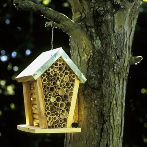 [beehouse4.jpg]
