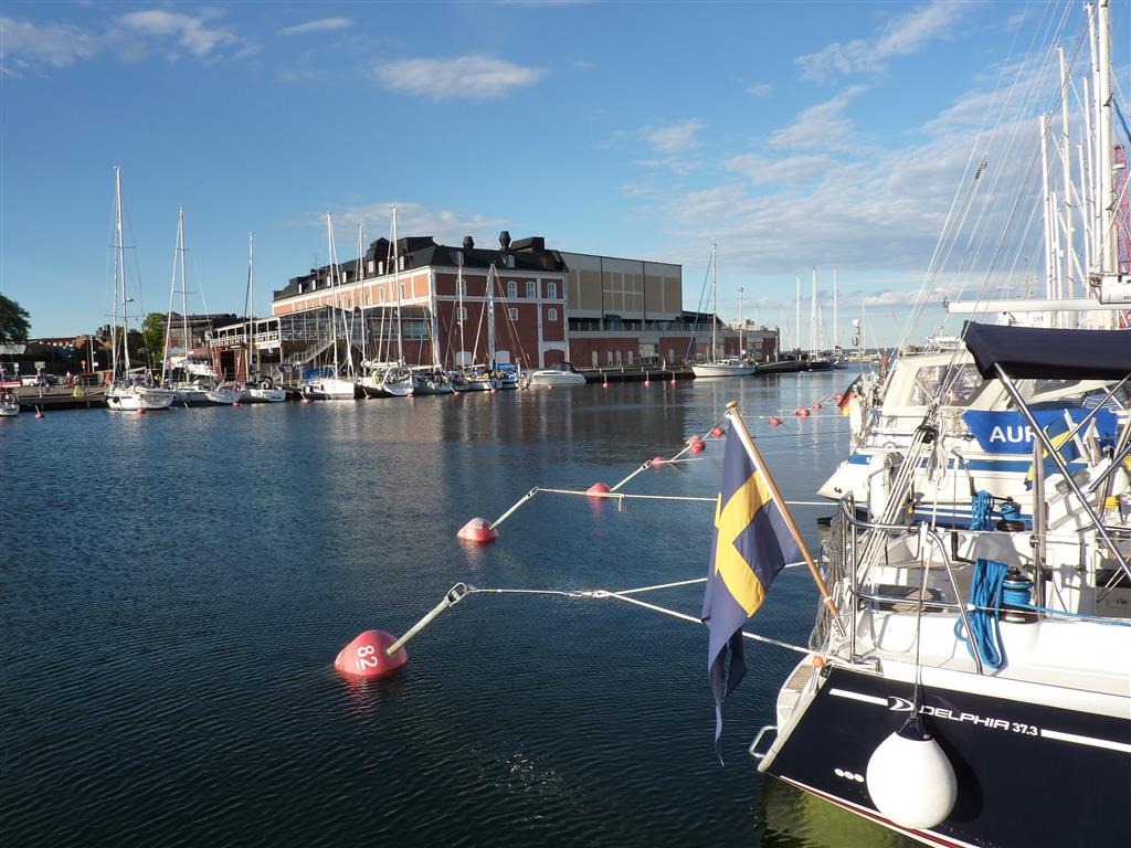 [P1030294-Medium3.jpg]
