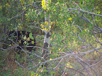 glacier_national_park_-_2007