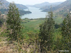 Kivusee