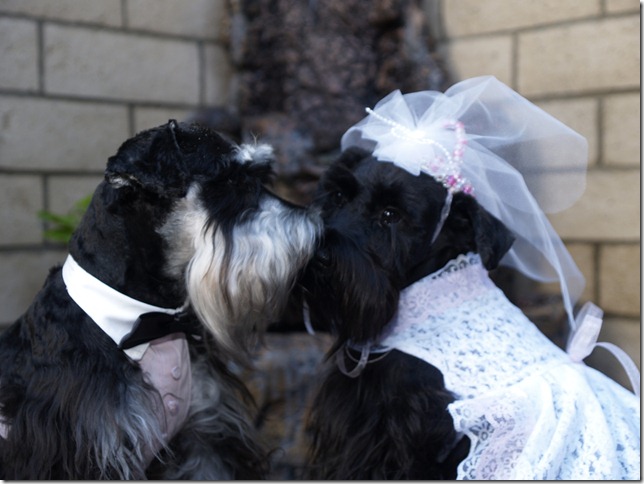 wedding2_jpg%20(2)