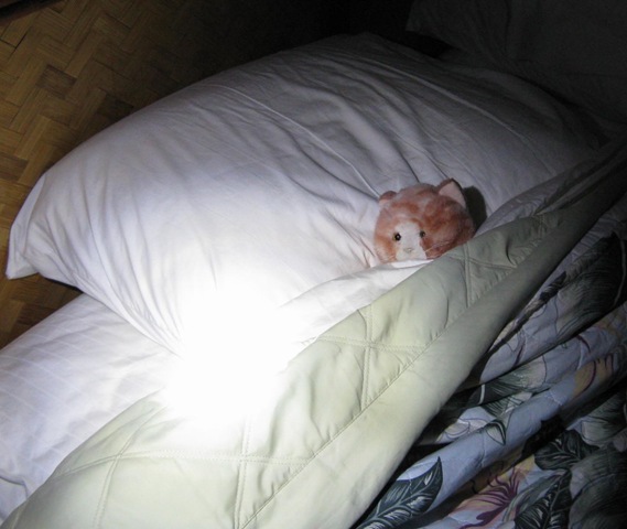 [IMG_8168CROPPED2.jpg]