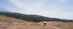 Arastradero Preserve