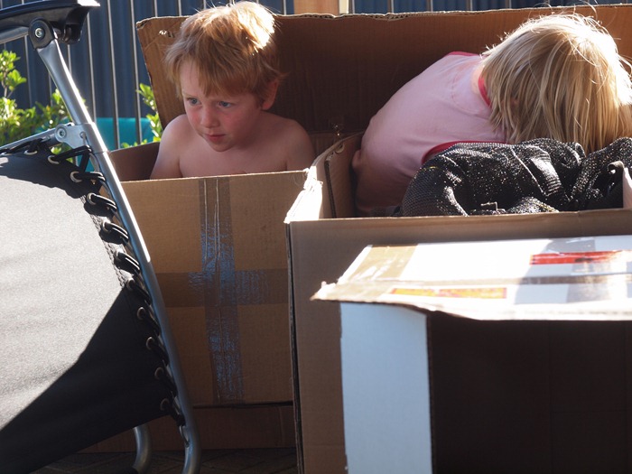 playing in boxes