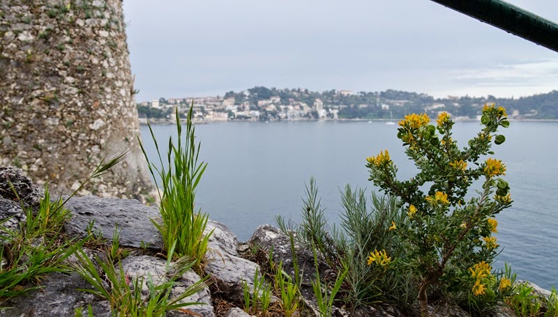 [A%2520day%2520in%2520Nice-94%255B3%255D.jpg]