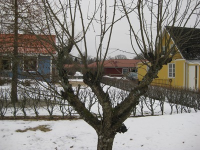 IMG_1256 IMG_1256