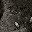 DSC_0326-2.jpg