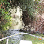 DSCN2986.JPG