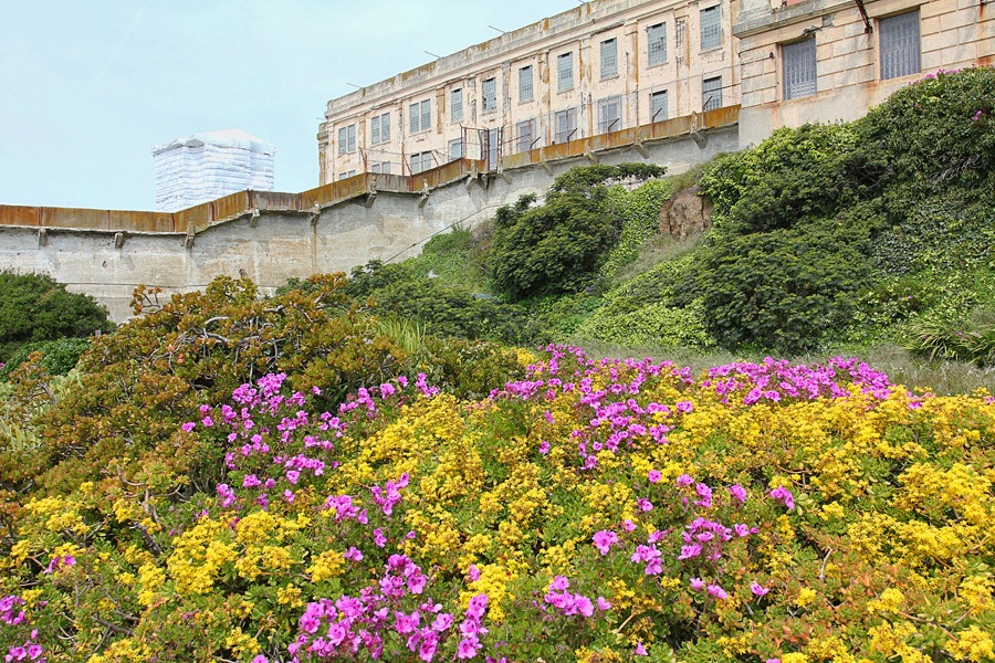 [120408_Alcatraz_2202.jpg]