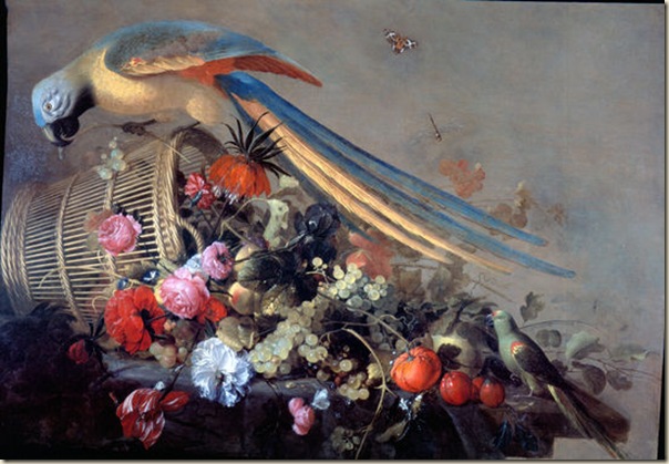 Cornelis de Heem, Nature morte au perroquet