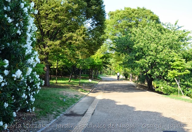 Glória Ishizaka - Jardim Botânico Nagai - Osaka 34