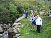 Along the pathway