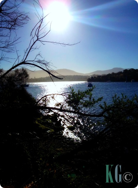 view of the bay photography pictures tasmania australia