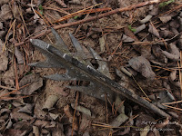 potykacz - G.W. Ludendorff potykacz - G.W. Ludendorff