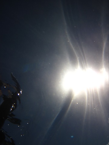 [IMG_3515%255B3%255D.jpg]