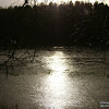 dsc07079.jpg