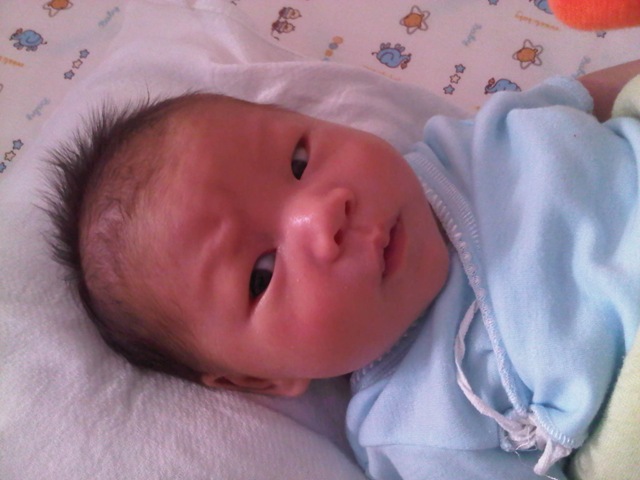 [IMG00919-20120103-1429%255B3%255D.jpg]
