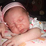 Zonked Out
