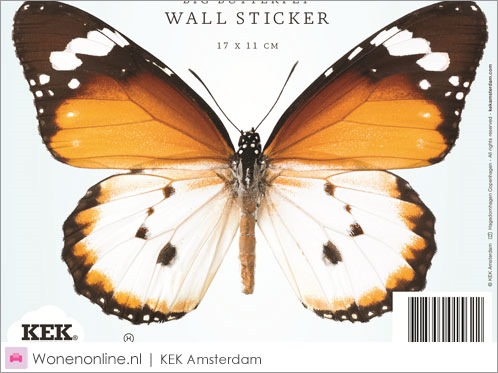 [kek-amsterdam-vlinder-butterfly-muurstickers-3%255B2%255D.jpg]