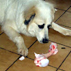 Finn_Knochen_4.jpg