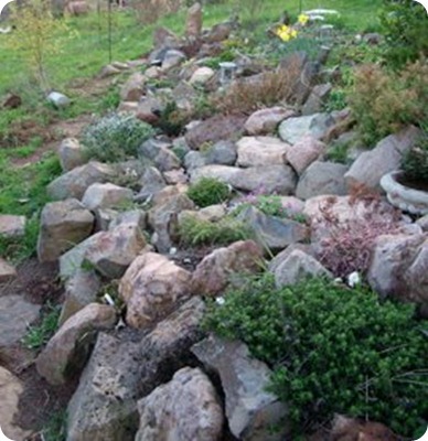 Using Ornamental Rocks in Bonsai1 Using Ornamental Rocks in Bonsai1