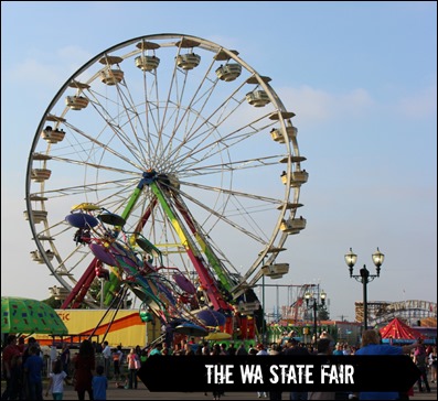 Many Waters The WA State Fair Ferris Wheel