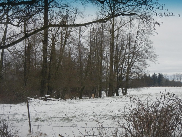 [DSCN2239%255B5%255D.jpg]