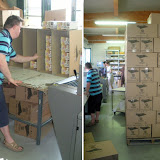 Inserimento nei cartoni da spedizione e composizione pallet
