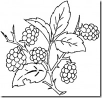 colorear uvas pintaryjugar (6) colorear uvas pintaryjugar (6)