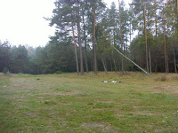 DSC07065.JPG Photo