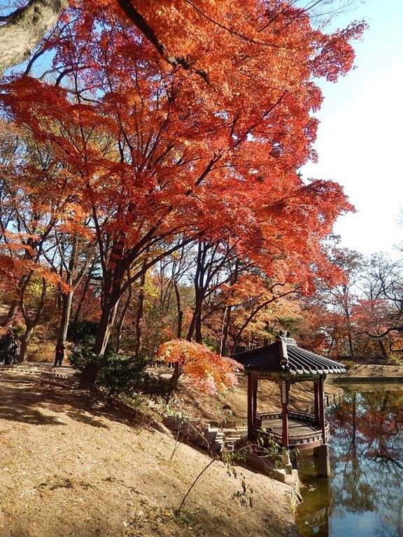 [2013_Day6_405.jpg]