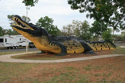crocodilewYNDHAM