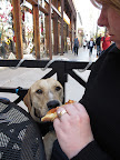 Having worked in rescue herself, Megan shared, 