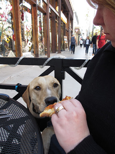Having worked in rescue herself, Megan shared, 