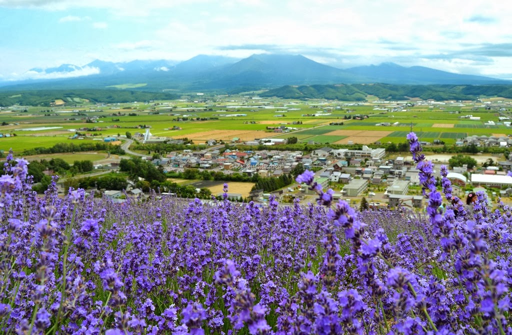 [Azul---Glria-Ishizaka-233.jpg]