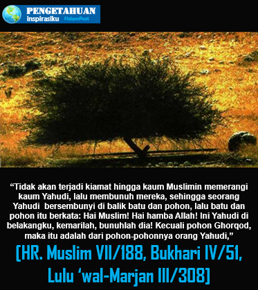 Pohon Gharqad Yahudi Pohon Gharqad Yahudi