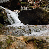 DSC_6608.JPG