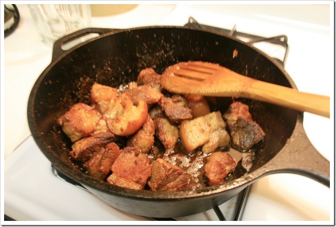 carnitasmexicoinmykitchen3