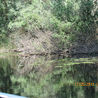 IMG_7635.JPG
