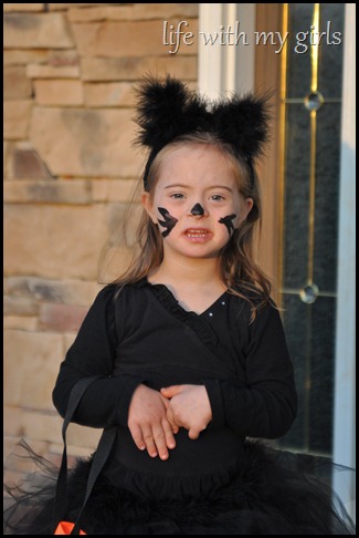 DSC_1105 DSC_1105