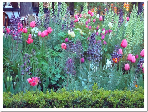 gorgeous spring blooms tivoli