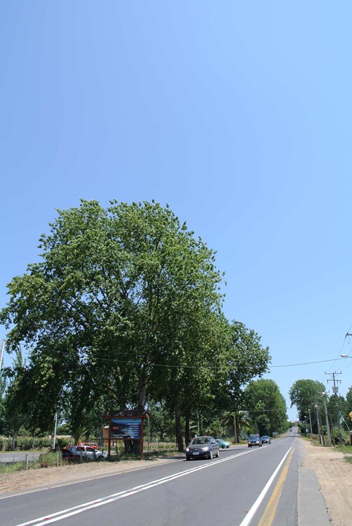 [DSC_8476%255B4%255D.jpg]