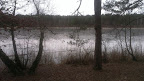 IMAG0137.jpg
