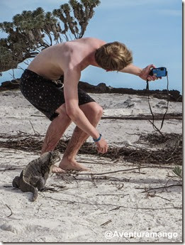 Selfie com Iguana