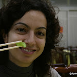 IMG_2911.JPG